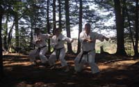 2011BlackBeltTest0208