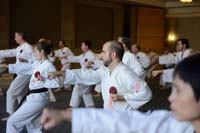 Hanshi75th019