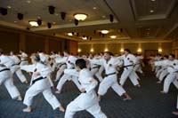 Hanshi75th030