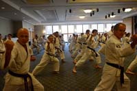 Hanshi75th033