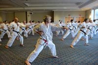 Hanshi75th036