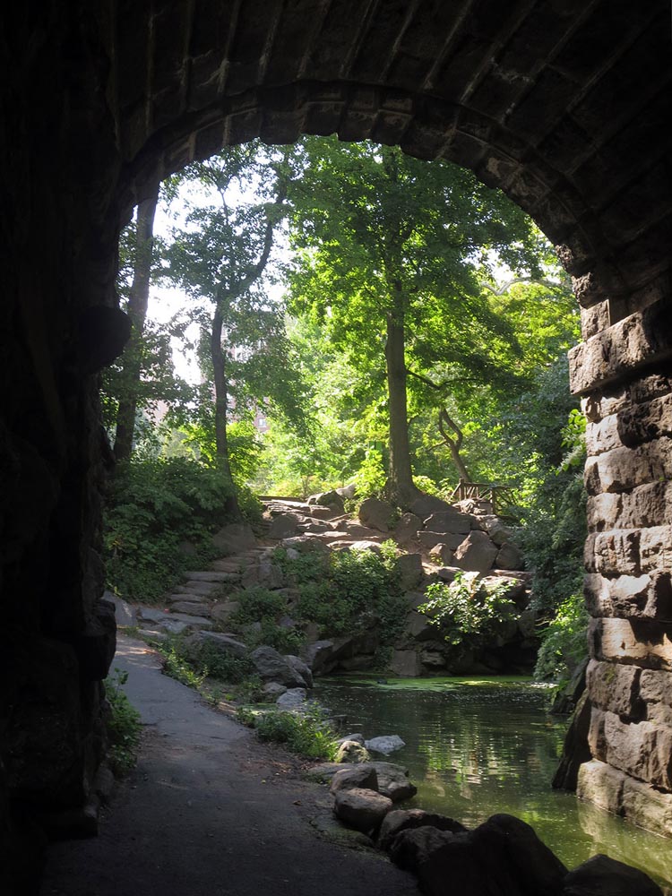 Central Park 2014_001