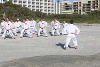 Ueshiro Shorin-Ryu 2016 Florida_1043