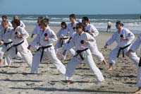 Ueshiro Shorin-Ryu 2016 Florida_7179