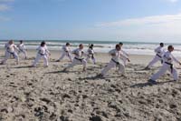 Ueshiro Shorin-Ryu 2016 Florida_7328