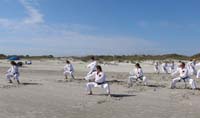 Ueshiro Shorin-Ryu 2016 Florida_7370