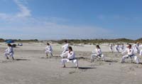 Ueshiro Shorin-Ryu 2016 Florida_7370