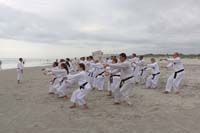 Ueshiro Shorin-Ryu 2016 Florida_7478