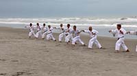 Ueshiro Shorin-Ryu 2016 Florida_8516