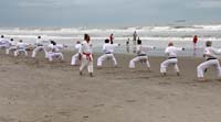 Ueshiro Shorin-Ryu 2016 Florida_8519